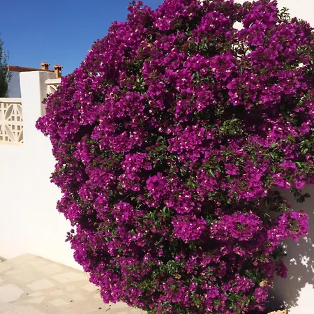 Villa Palmera, Moraira. *